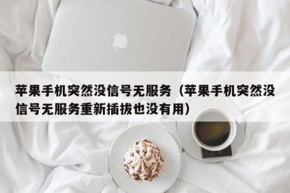 苹果手机突然没信号无服务（苹果手机突然没信号无服务重新插拔也没有用）